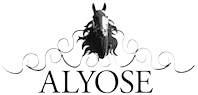Alyose AB logo